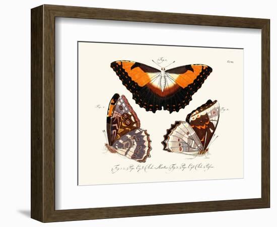 Butterflies, 1783-1806-null-Framed Giclee Print