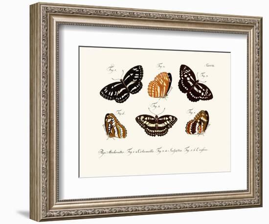 Butterflies, 1783-1806-null-Framed Giclee Print