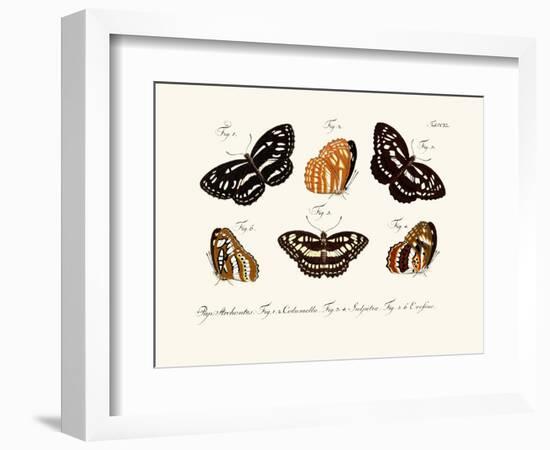 Butterflies, 1783-1806-null-Framed Giclee Print