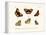 Butterflies, 1783-1806-null-Framed Premier Image Canvas