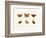 Butterflies, 1783-1806-null-Framed Giclee Print