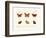 Butterflies, 1783-1806-null-Framed Giclee Print