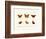 Butterflies, 1783-1806-null-Framed Giclee Print