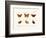 Butterflies, 1783-1806-null-Framed Giclee Print