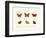 Butterflies, 1783-1806-null-Framed Giclee Print