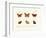 Butterflies, 1783-1806-null-Framed Giclee Print