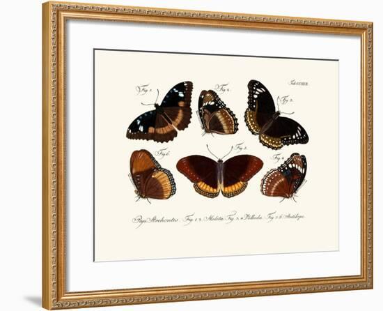 Butterflies, 1783-1806-null-Framed Giclee Print