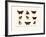 Butterflies, 1783-1806-null-Framed Giclee Print