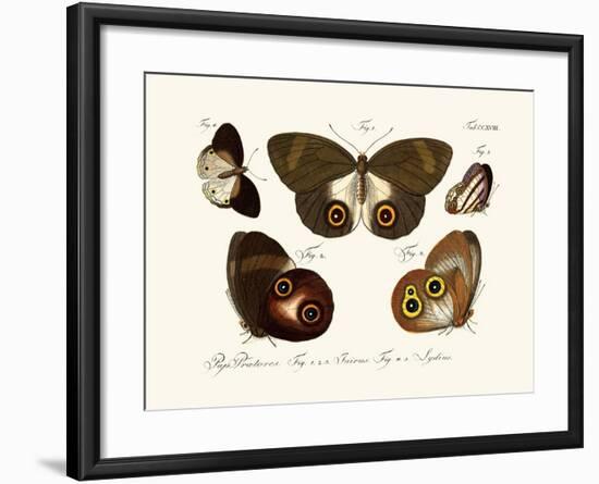 Butterflies, 1783-1806-null-Framed Giclee Print