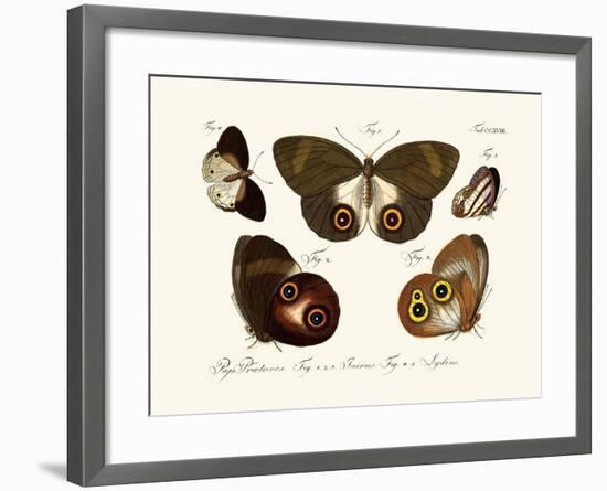 Butterflies, 1783-1806-null-Framed Giclee Print