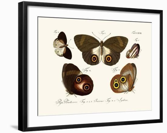 Butterflies, 1783-1806-null-Framed Giclee Print