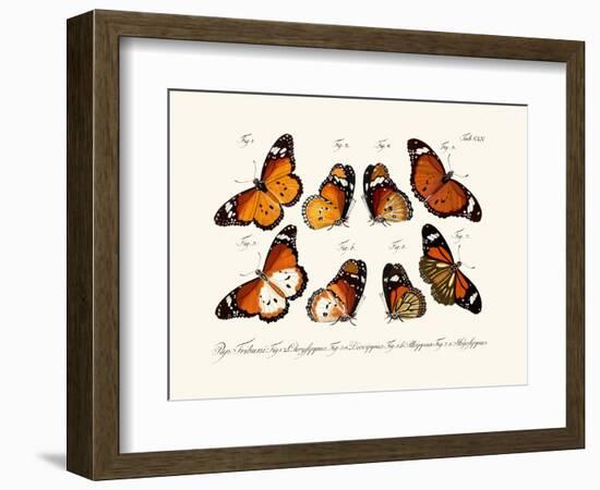 Butterflies, 1783-1806-null-Framed Giclee Print