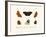 Butterflies, 1783-1806-null-Framed Giclee Print