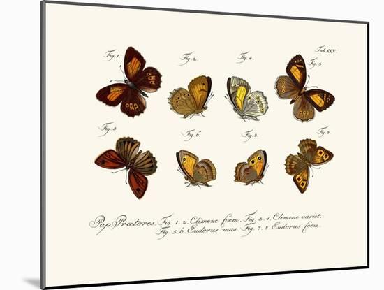 Butterflies, 1783-1806-null-Mounted Giclee Print