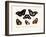 Butterflies, 1783-1806-null-Framed Giclee Print