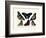 Butterflies, 1783-1806-null-Framed Giclee Print