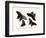 Butterflies, 1783-1806-null-Framed Giclee Print