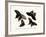 Butterflies, 1783-1806-null-Framed Giclee Print