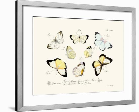 Butterflies, 1783-1806-null-Framed Giclee Print