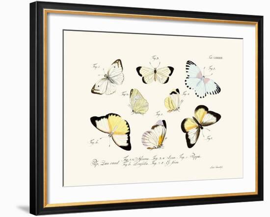 Butterflies, 1783-1806-null-Framed Giclee Print