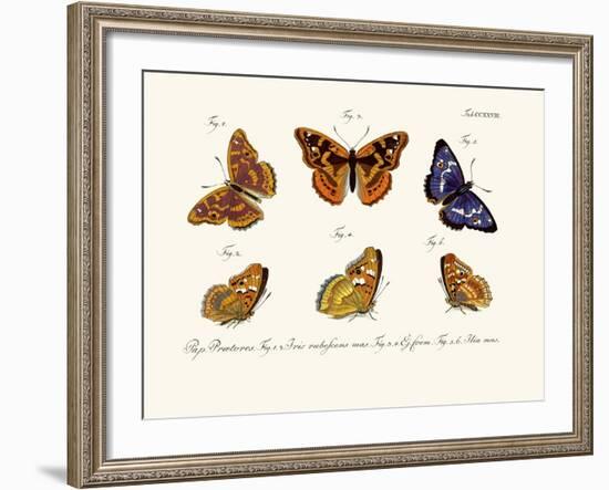 Butterflies, 1783-1806-null-Framed Giclee Print