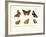 Butterflies, 1783-1806-null-Framed Giclee Print