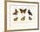 Butterflies, 1783-1806-null-Framed Giclee Print