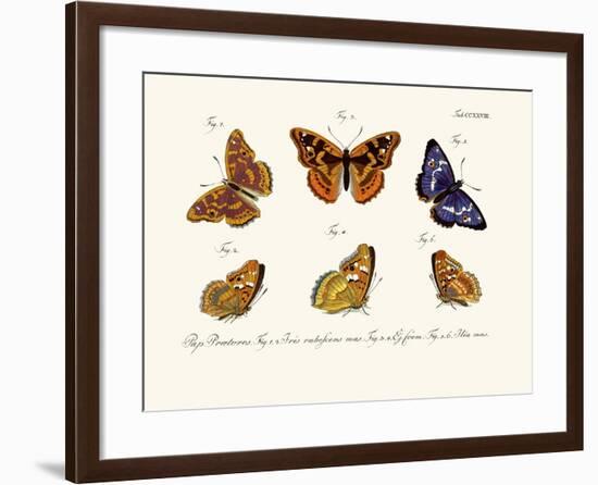 Butterflies, 1783-1806-null-Framed Giclee Print