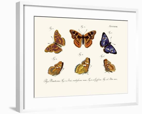 Butterflies, 1783-1806-null-Framed Giclee Print