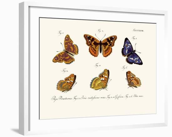 Butterflies, 1783-1806-null-Framed Giclee Print