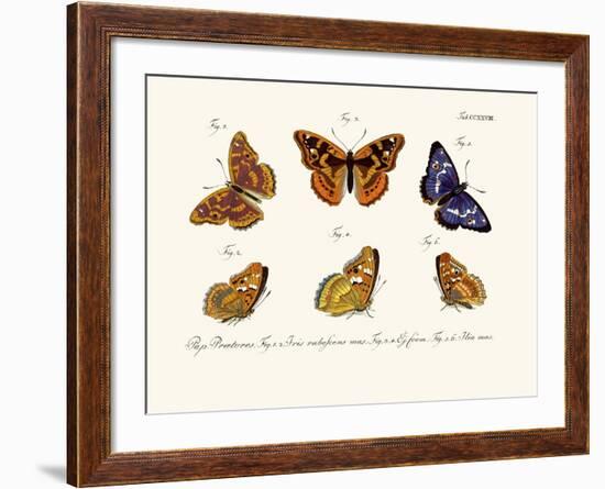 Butterflies, 1783-1806-null-Framed Giclee Print