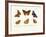 Butterflies, 1783-1806-null-Framed Giclee Print