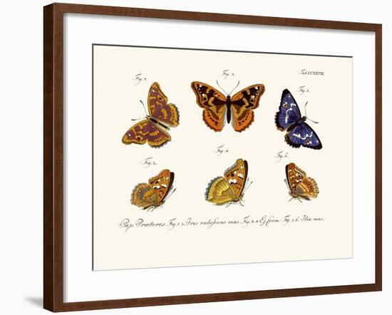 Butterflies, 1783-1806-null-Framed Giclee Print