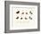 Butterflies, 1783-1806-null-Framed Giclee Print