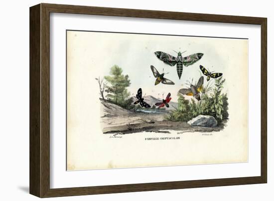 Butterflies, 1863-79-Raimundo Petraroja-Framed Giclee Print