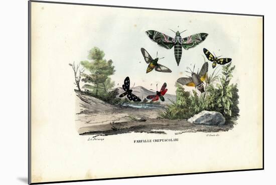 Butterflies, 1863-79-Raimundo Petraroja-Mounted Giclee Print