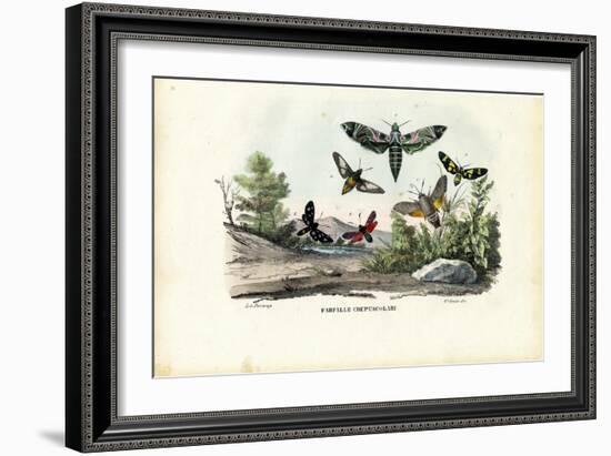 Butterflies, 1863-79-Raimundo Petraroja-Framed Giclee Print