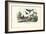 Butterflies, 1863-79-Raimundo Petraroja-Framed Giclee Print