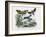 Butterflies, 1863-79-Raimundo Petraroja-Framed Giclee Print