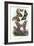 Butterflies, 1863-79-Raimundo Petraroja-Framed Giclee Print