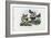 Butterflies, 1863-79-Raimundo Petraroja-Framed Giclee Print