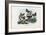 Butterflies, 1863-79-Raimundo Petraroja-Framed Giclee Print