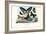 Butterflies, 1863-79-Raimundo Petraroja-Framed Giclee Print