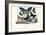 Butterflies, 1863-79-Raimundo Petraroja-Framed Giclee Print