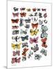 Butterflies, 1955 (many/varied colors)-Andy Warhol-Mounted Art Print