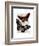 Butterflies 2-Fab Funky-Framed Art Print