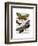 Butterflies 3-Fab Funky-Framed Art Print