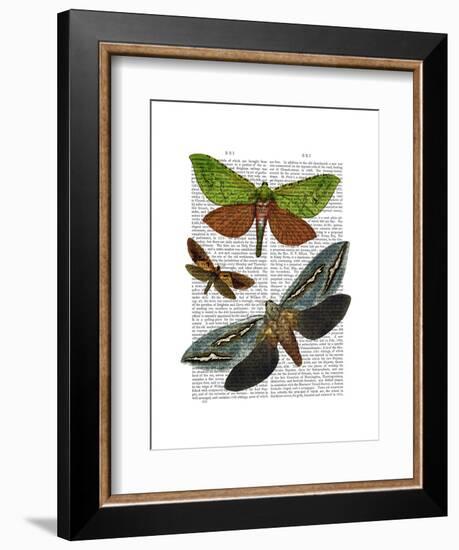 Butterflies 3-Fab Funky-Framed Art Print