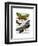 Butterflies 3-Fab Funky-Framed Art Print