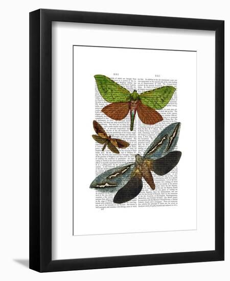 Butterflies 3-Fab Funky-Framed Art Print